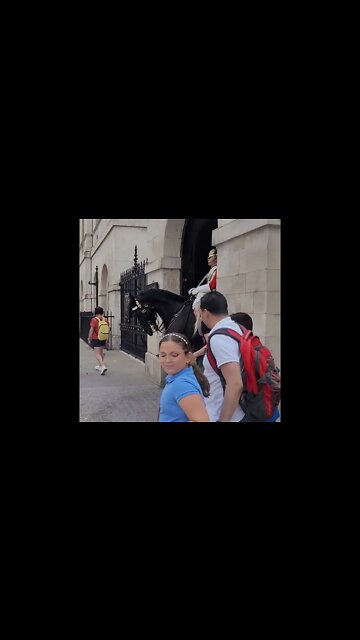 posing for a photo with the Horse Guard speed up #horseguardsparade