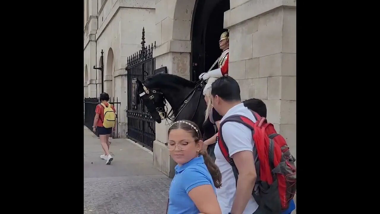 posing for a photo with the Horse Guard speed up #horseguardsparade