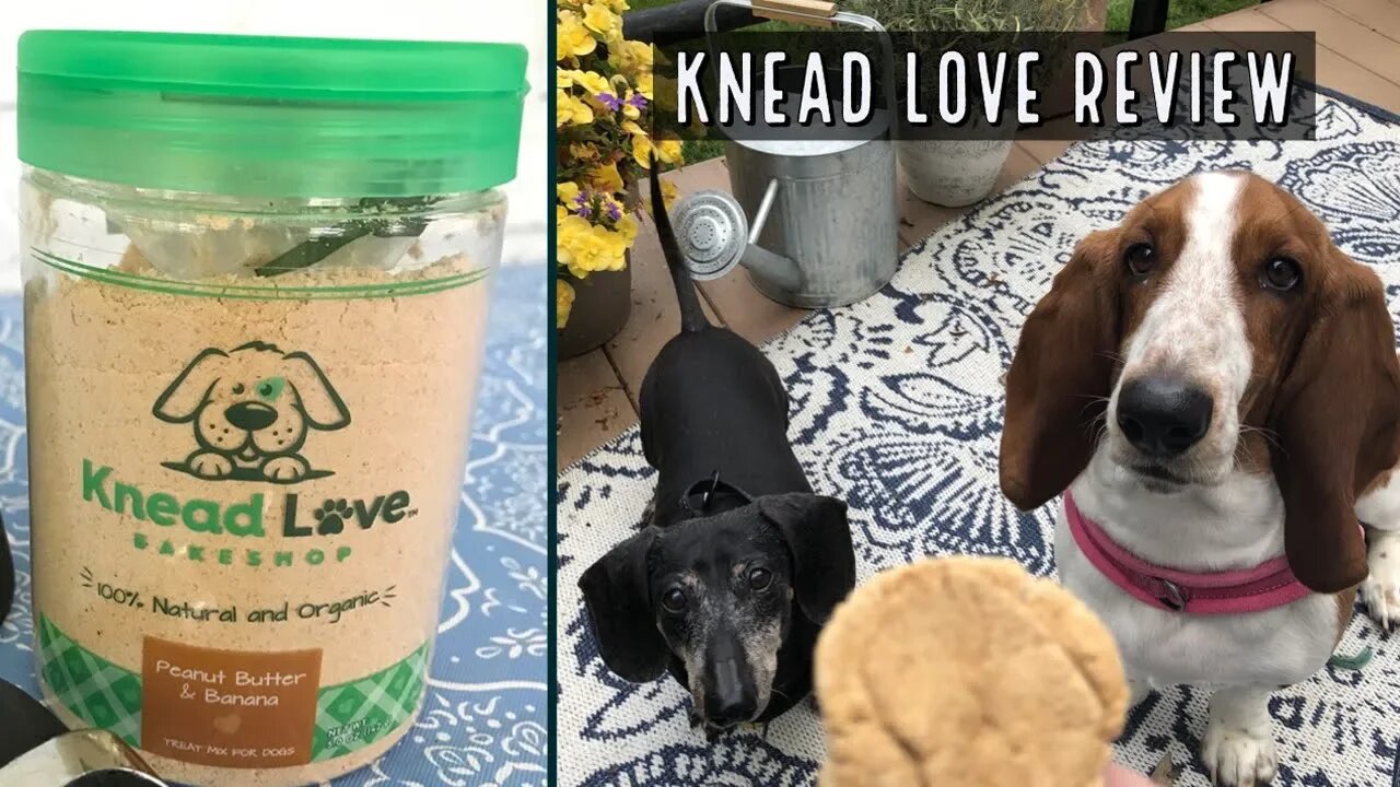 Knead Love Product Review