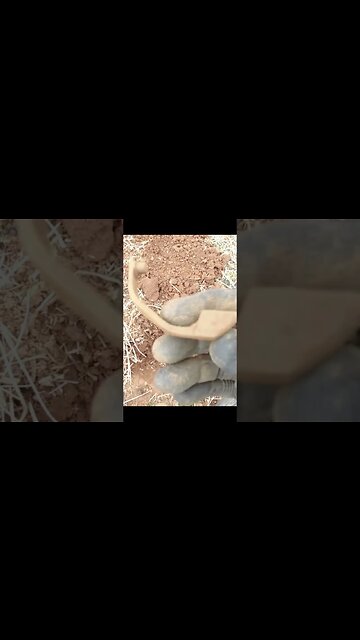 What is this #coins #fishing #relic #bassfishing #arrowhead #treasure #metaldetecting #buttons