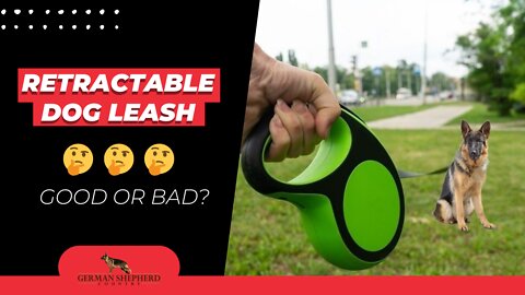 Retractable Dog Leash 🐾 Good or Bad?