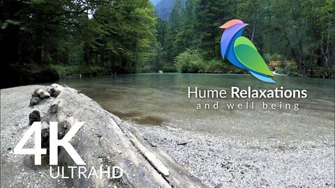 Edge • Relaxing Birds With Piano And Nature Capture, Effective Relaxation • Official Music Soundtrack by Hume