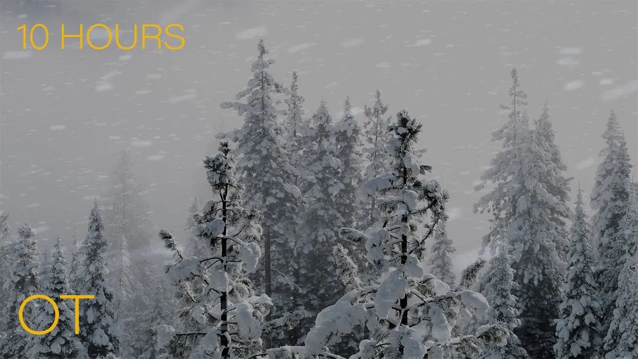 BLIZZARD IN TAHOE | Howling wind and blowing snow for Relaxing| Studying| Sleep| Winter Ambience