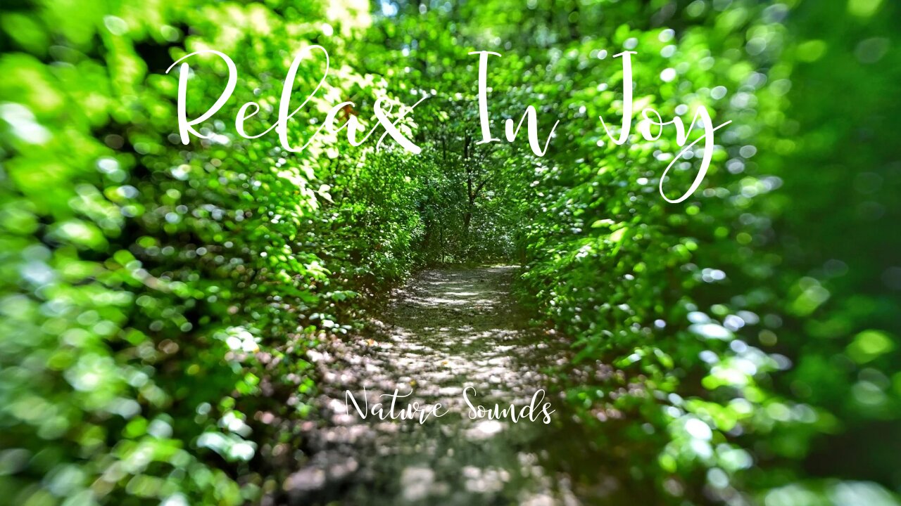 Relax in Joy | Nature Sounds | 30 Minutes