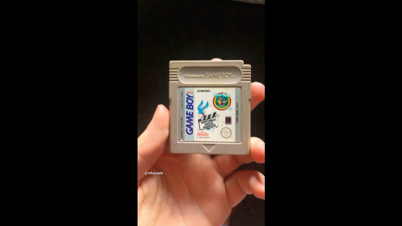 Tiny Toon Adventures Game Boy Game