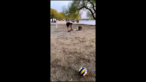 funny videos