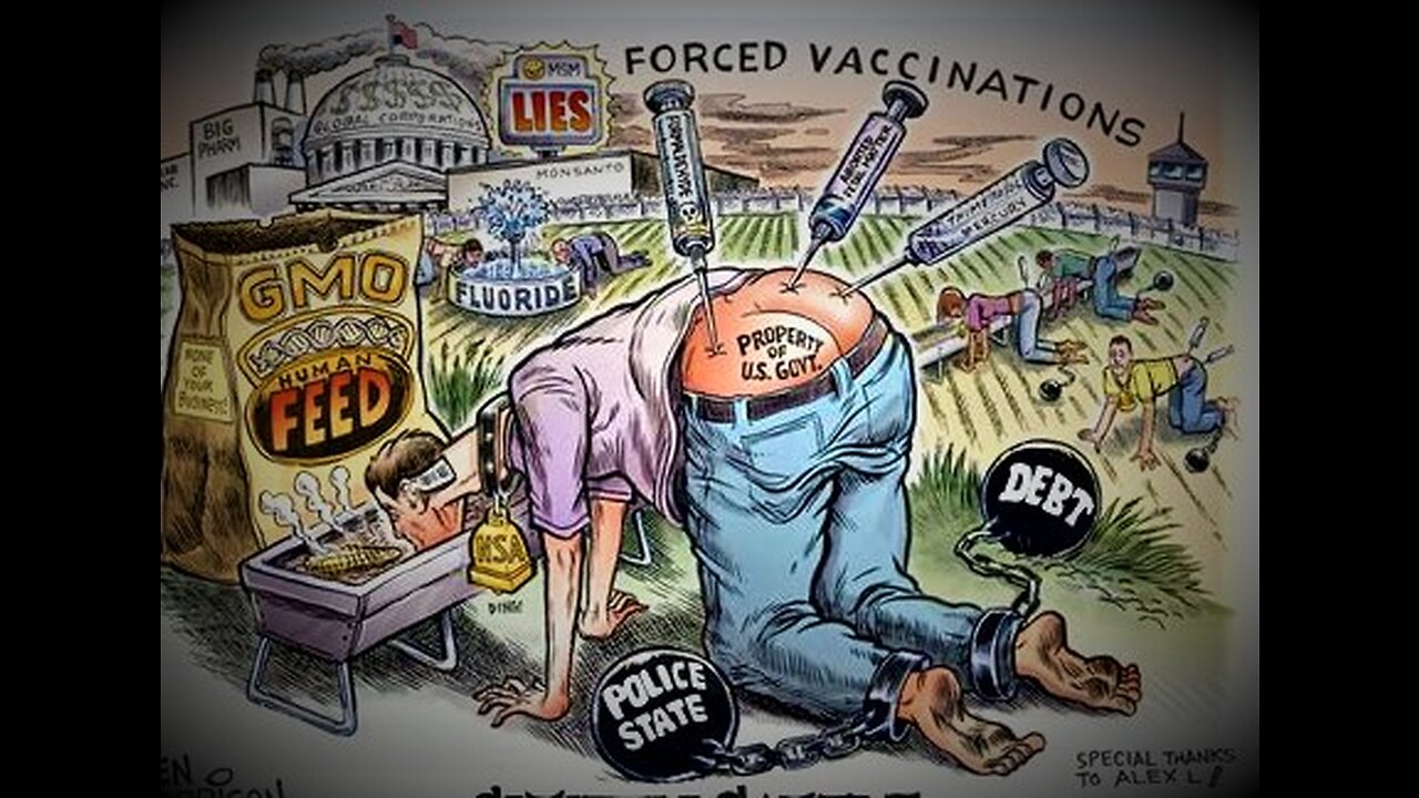 Lahaina Updates, Week in Review 8. 27. 2023