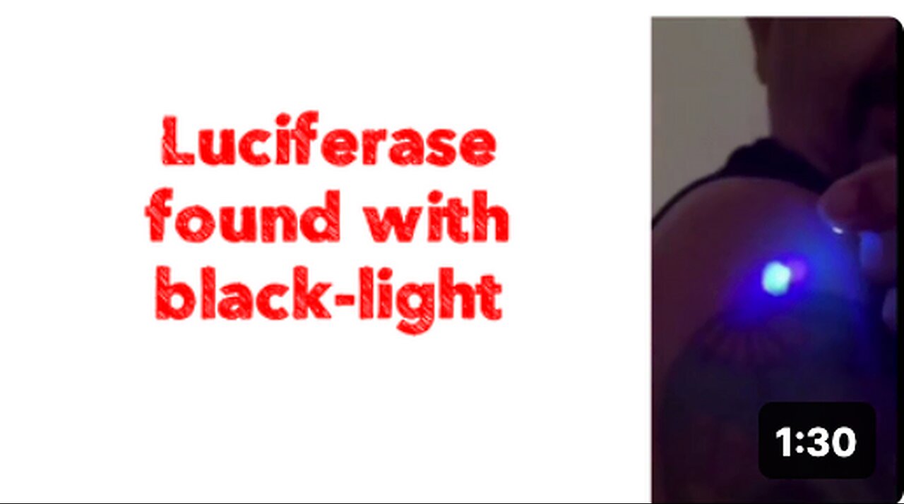 Luciferase found with black-light