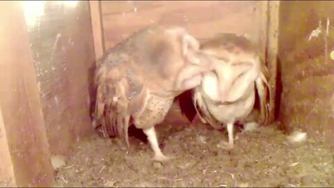 Monday morning Love Fest at the Kastle.6-15-20