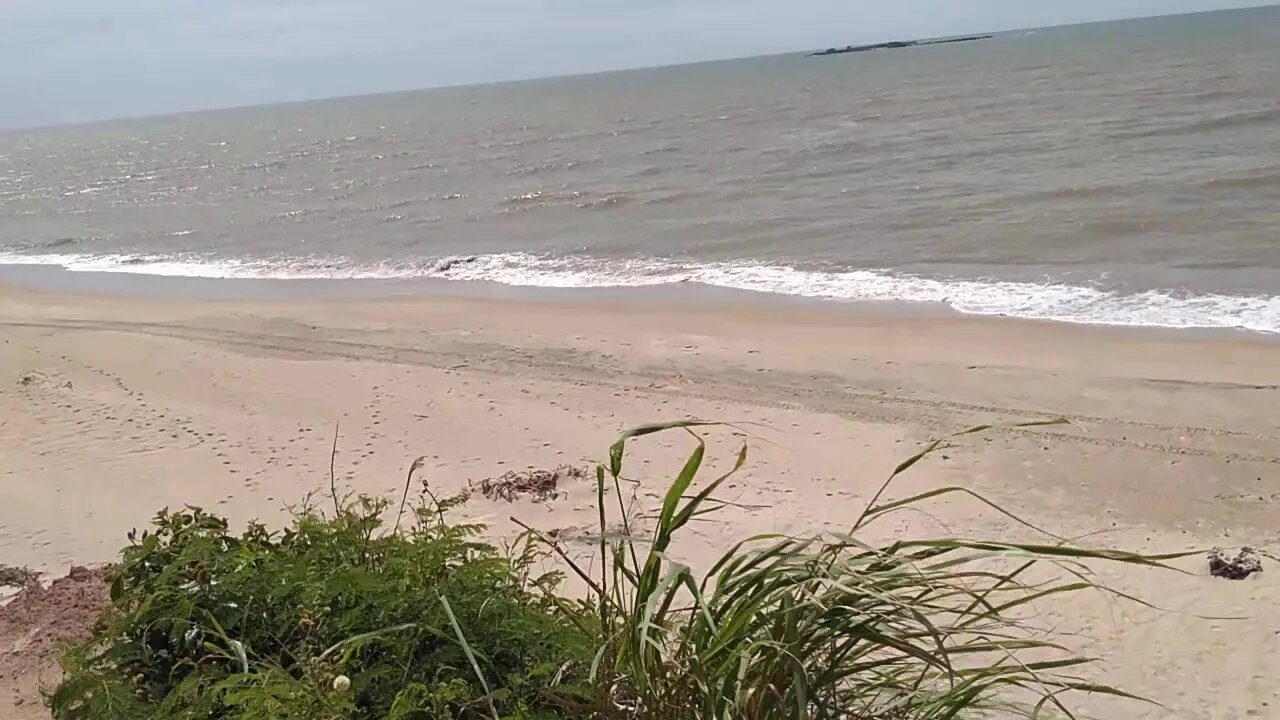 Fev 2020 praia Jubarte ES