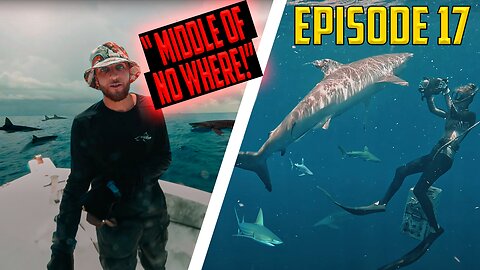 Students Risk Their Lives Swimming With Sharks (Episode 17)