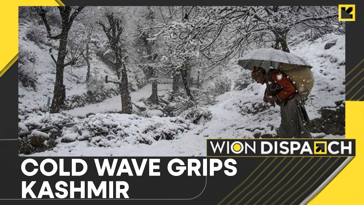 India: Northern States Face Severe Cold Wave Conditions | World News | WION Dispatch