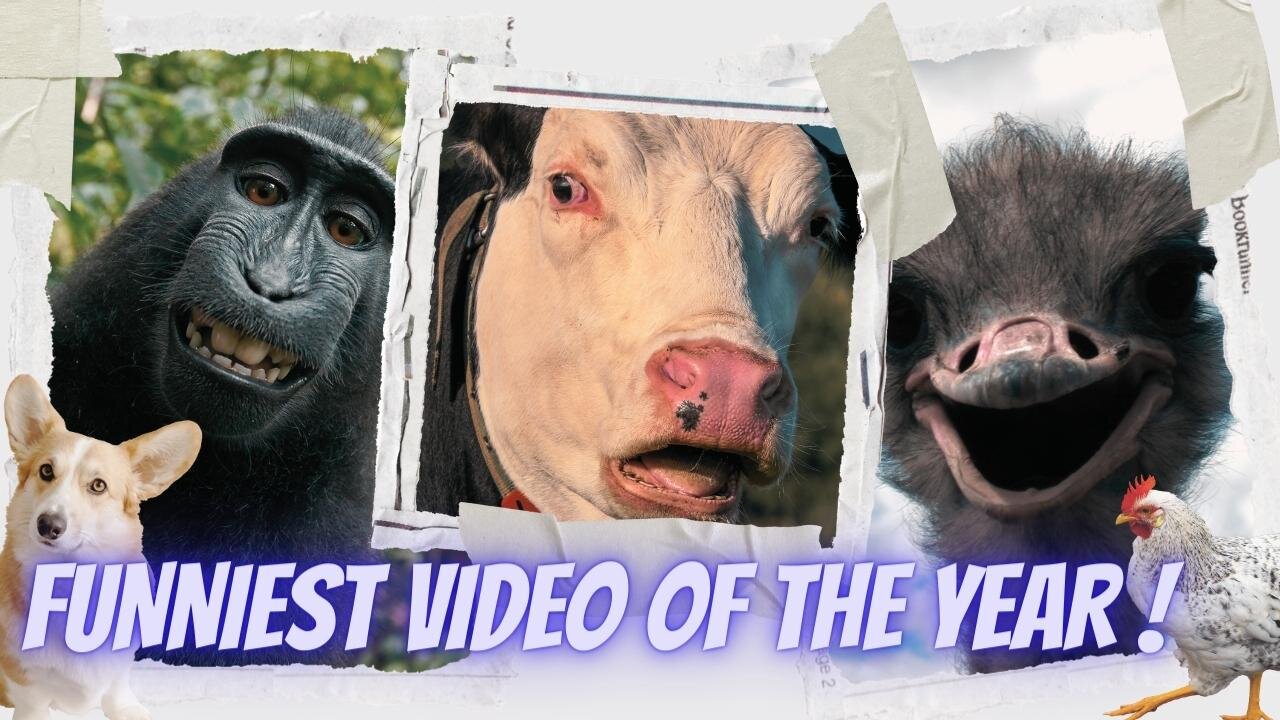 Funniest video of the year- Funny dogs Prank with animals