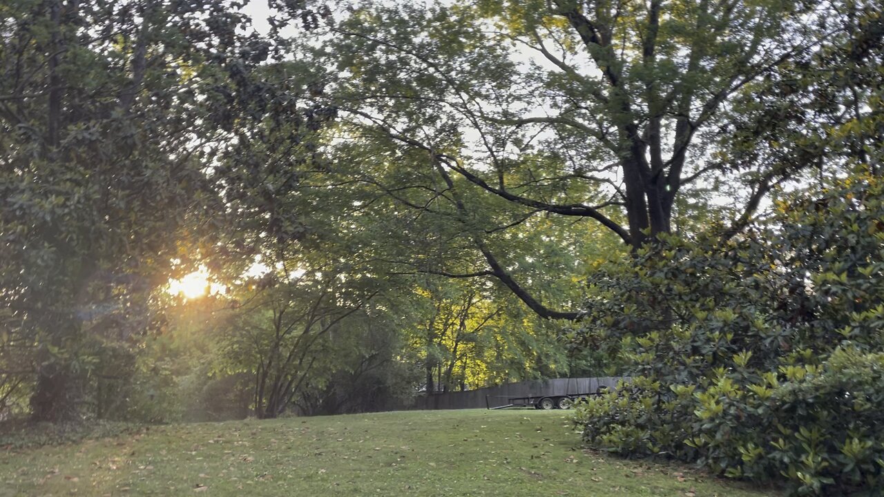 Corinth, Mississippi Walking