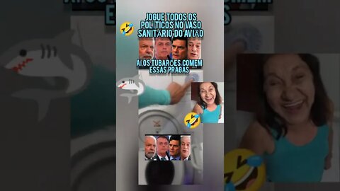 Joguei Bolsonaro, Lula e Cia no vaso sanitário do Avião e dei descarga