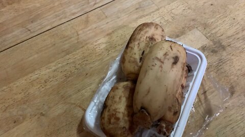 Lotus Root