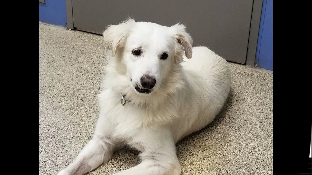 The day we met