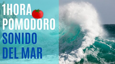 Mercarato- Estudia trabaja conmigo pomodoro 1 hora sonido del mar