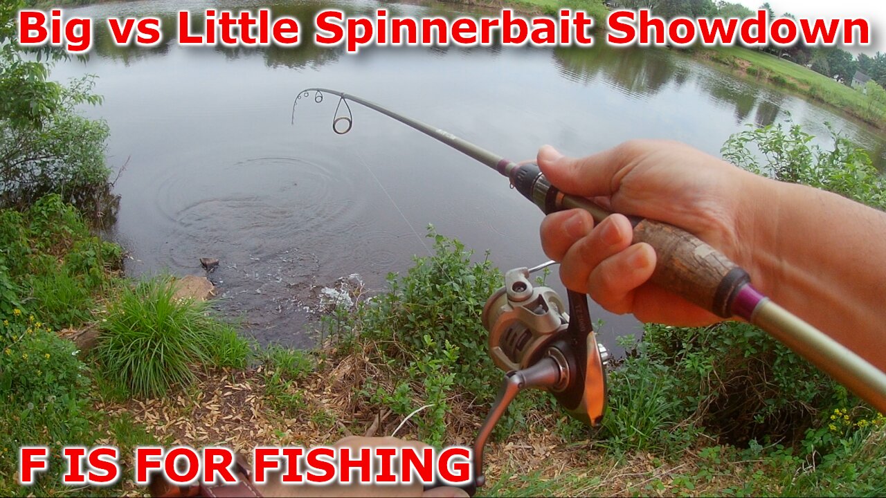 Big vs Little Spinnerbait Showdown