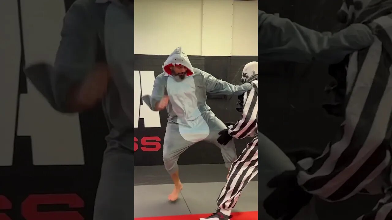 What is spookier than Glover Teixeira and Alex Pereira sparring on Halloween? 👻