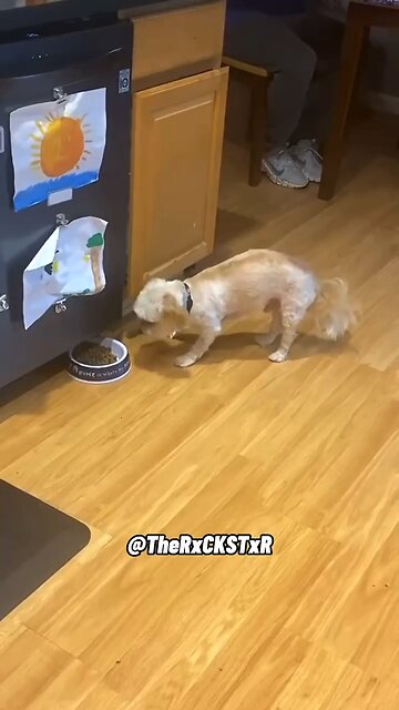 I don’t like my food touching!😂🤣