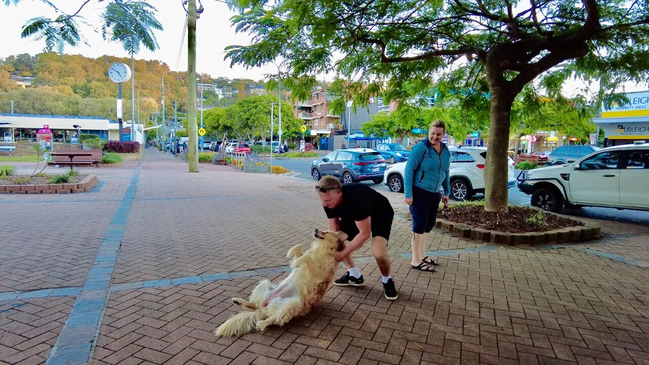 Stubborn Dog PLAYS DEAD to Avoid Going Home