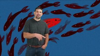 Miracles of Fish by Lance Wetter. Sunday Sermon at MHW UMC 5-15-22
