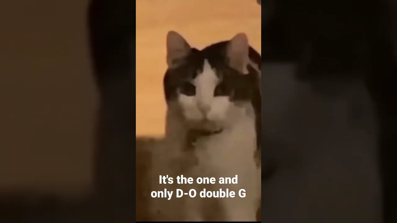 It's the one and only D-O double G #shorts