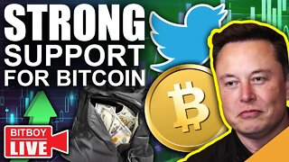 Elon Musk Becomes Twitters LARGEST Shareholder! (Bitcoin Above Strong Support)