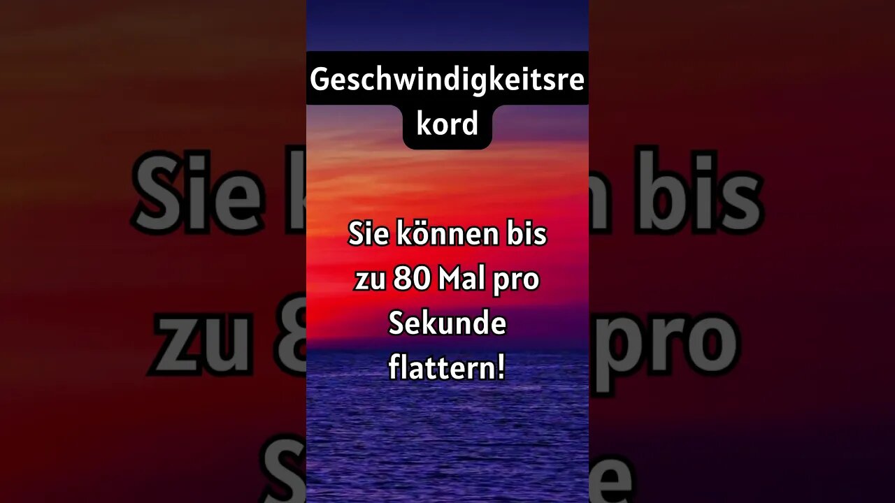 Stellt euch das mal vor.
