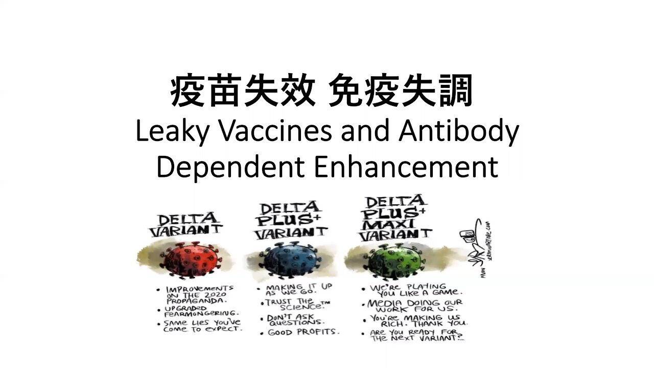 mRNA 疫苗致病原因及後果 刺突蛋白 血栓 淋巴系統 自身免疫 (3)