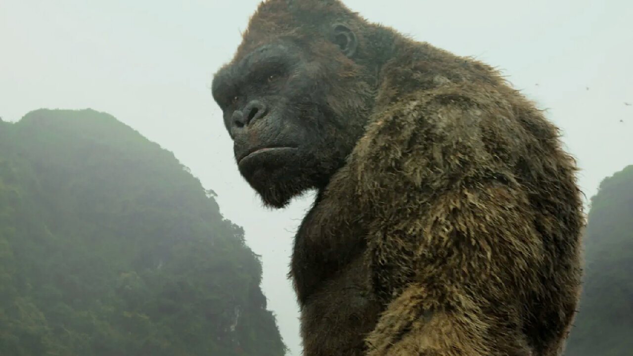 2023.02.26-Eliseo.Bonanno-RISCRIVIAMO LA NOSTRA STORIA GENESI LA CREAZIONE - 1°PARTE