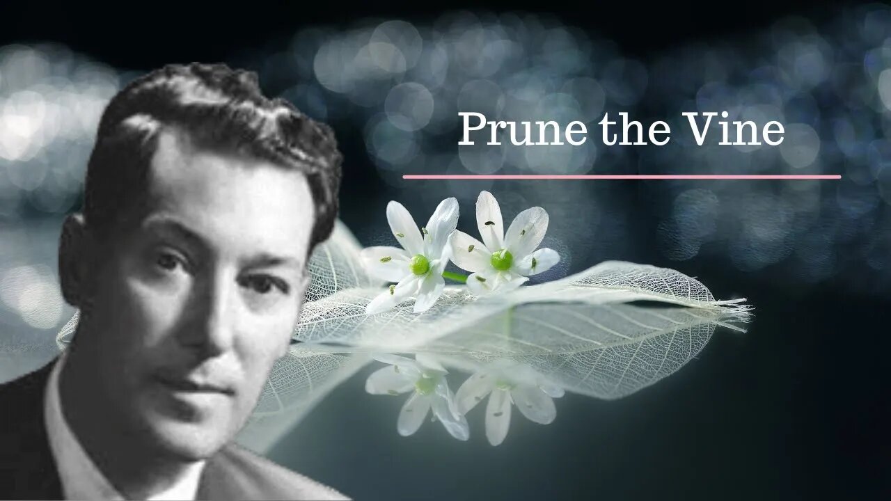 Neville Goddard Lectures l Prune the Vine l Modern Mystic