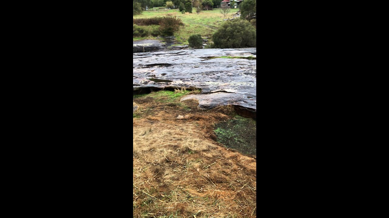 Who doesn’t love the sound of running water and some random beautiful flowers at the end🙌🇦🇺🙌￼￼