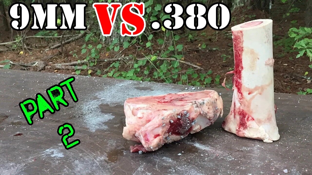 9mm vs .380: Bone Test