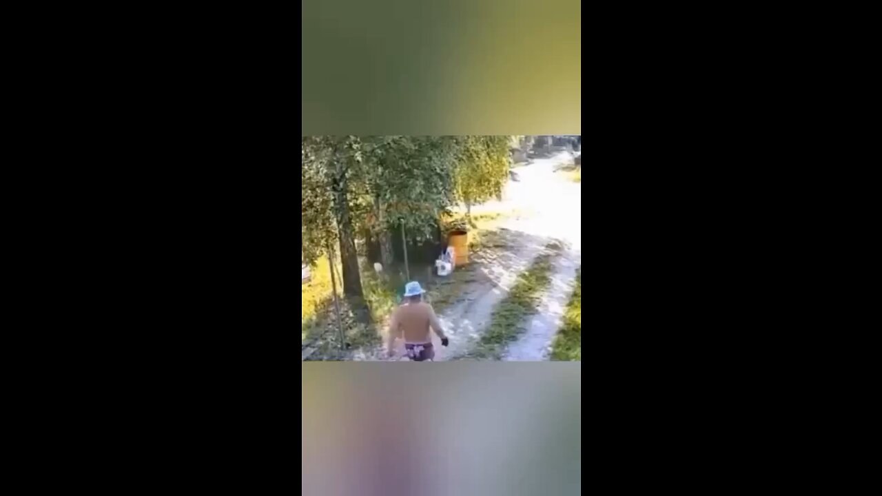 Funny animals in action 😂🤣