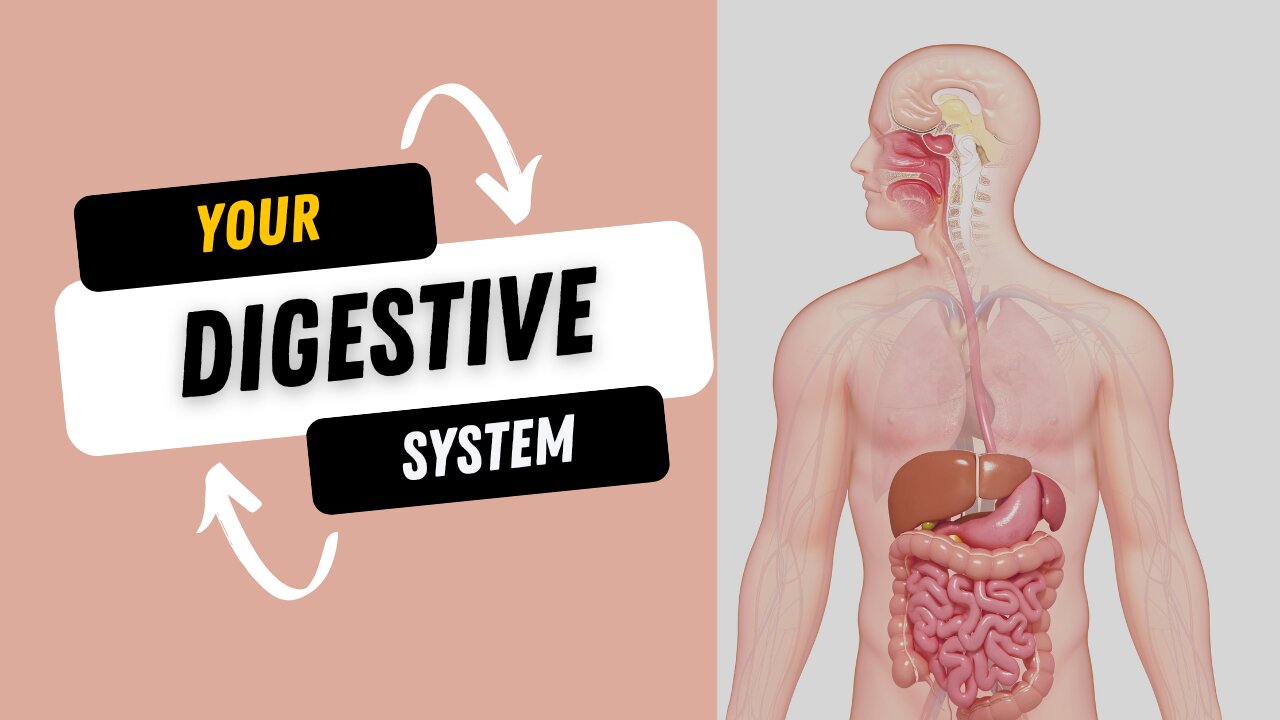 Know your digestive system...
