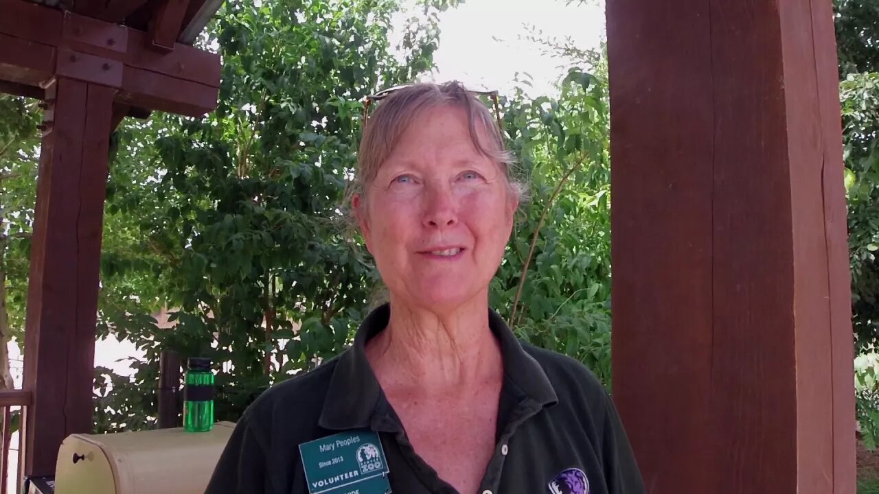Voices of Denver Mary Peoples a volunteer at the Denver Zoo