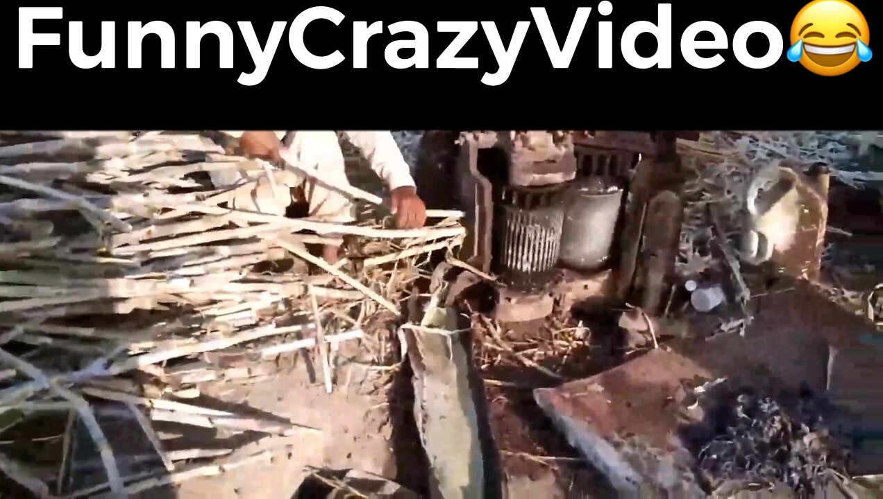 Mr FunnyCrazyVideo😂 Just Incredible Video Funny and Crazy #Like Follow for Follow 🥰