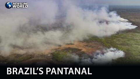 Out of control wildfires ravage world's largest tropical wetland in Brazil