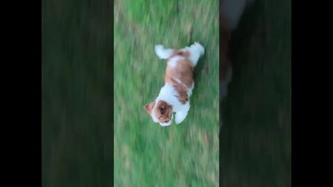 & Then There Were 2 🥺(1)