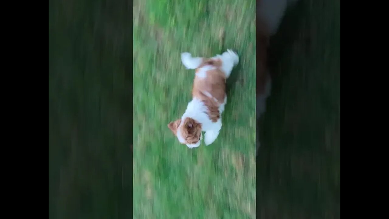 & Then There Were 2 🥺(1)