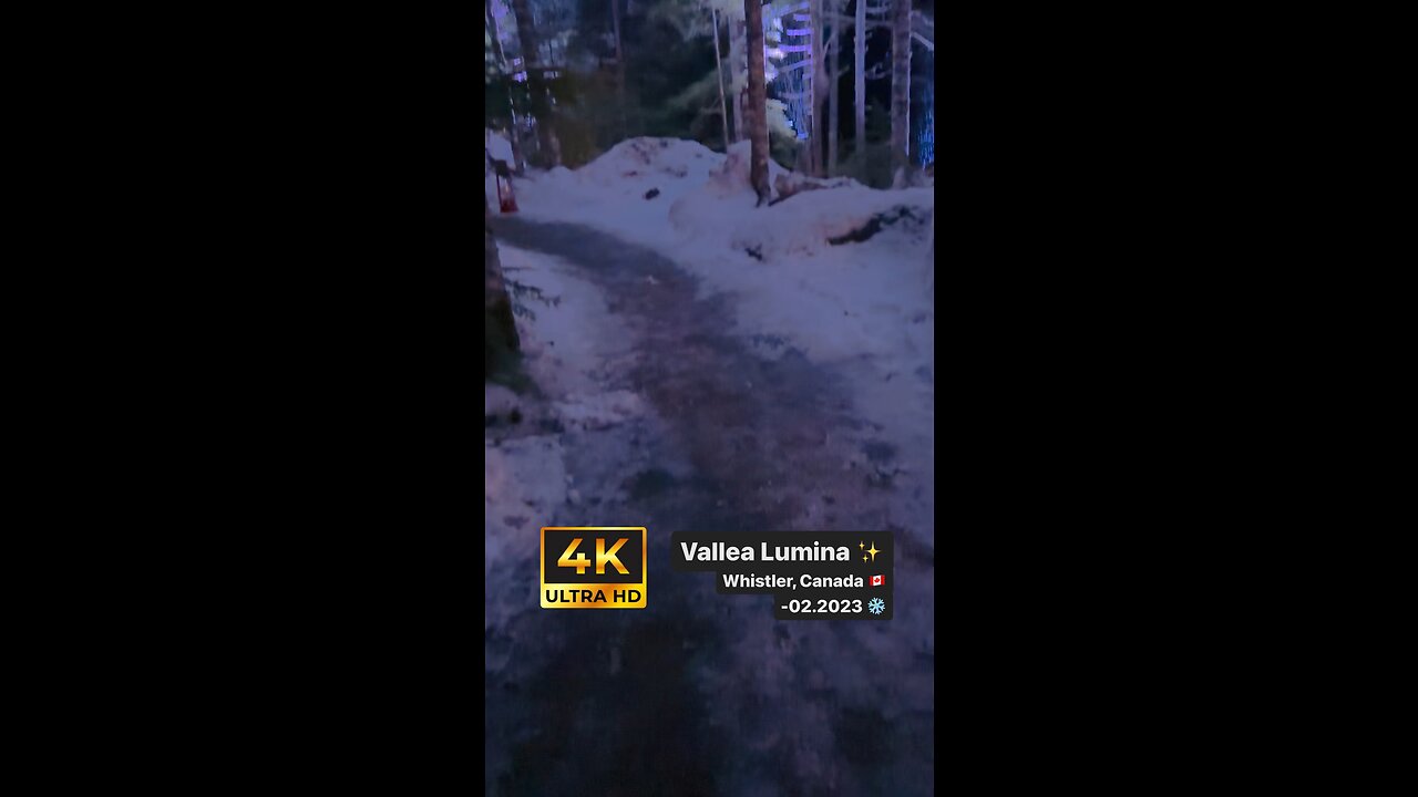 Vallea Lumina ✨ Whistler 🇨🇦 02.2023🏔️❄️🍁🥃🥂🍄 #vallealumina #whistler