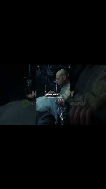 SNEAKO: YOU NEED TO AIM HIGHER