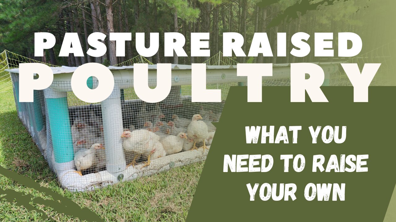 Pasture-Raised Poultry: Tips and Tricks