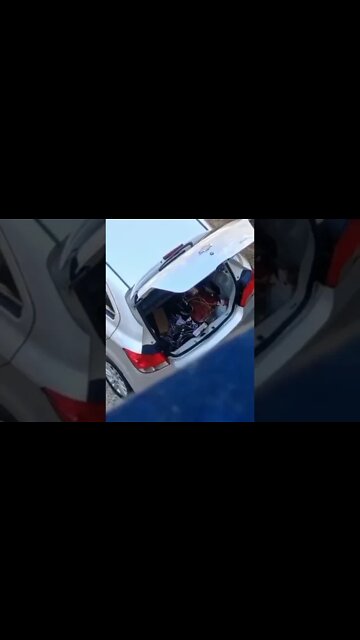 DENUNCIA Entregador SHOPEE XPRESS Roubando Produtos