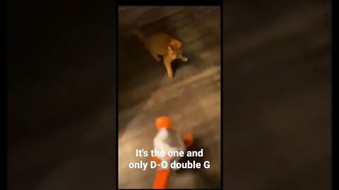 MEME is the one and only D-O double G #shorts