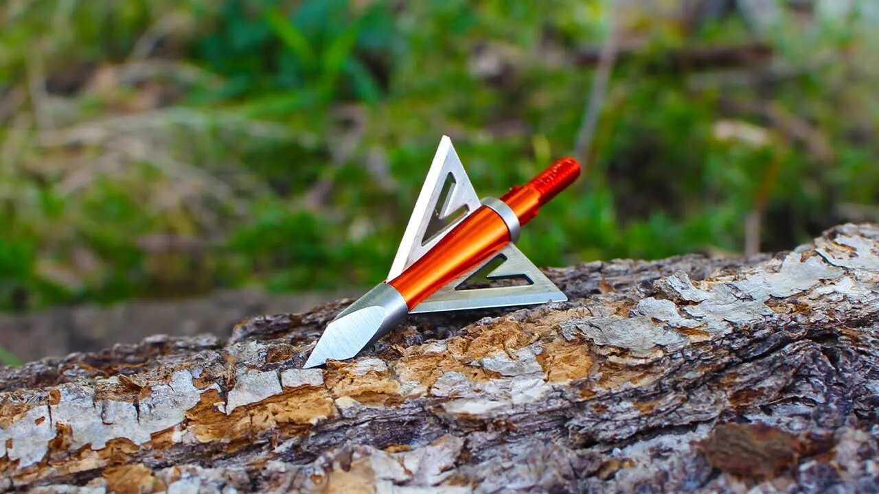 Wasp Havlon Broadhead Review