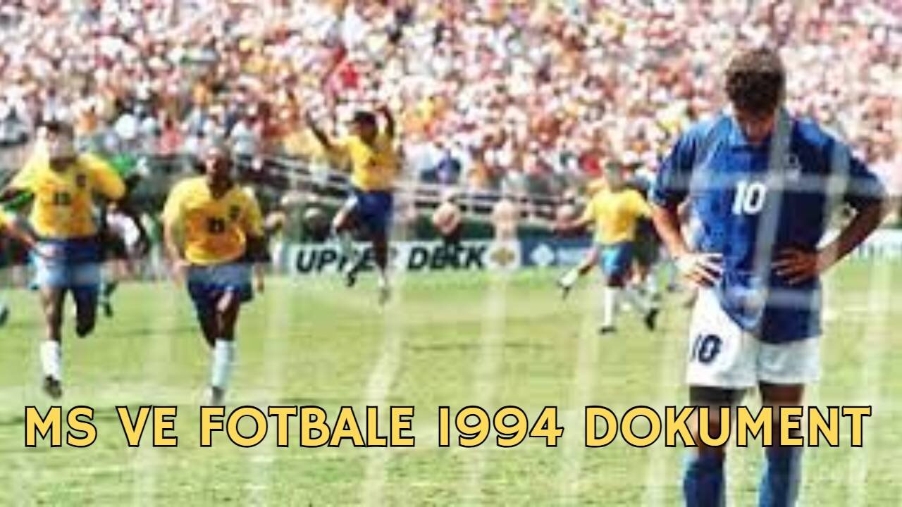 Mistrovství světa ve fotbale 1994 dokument