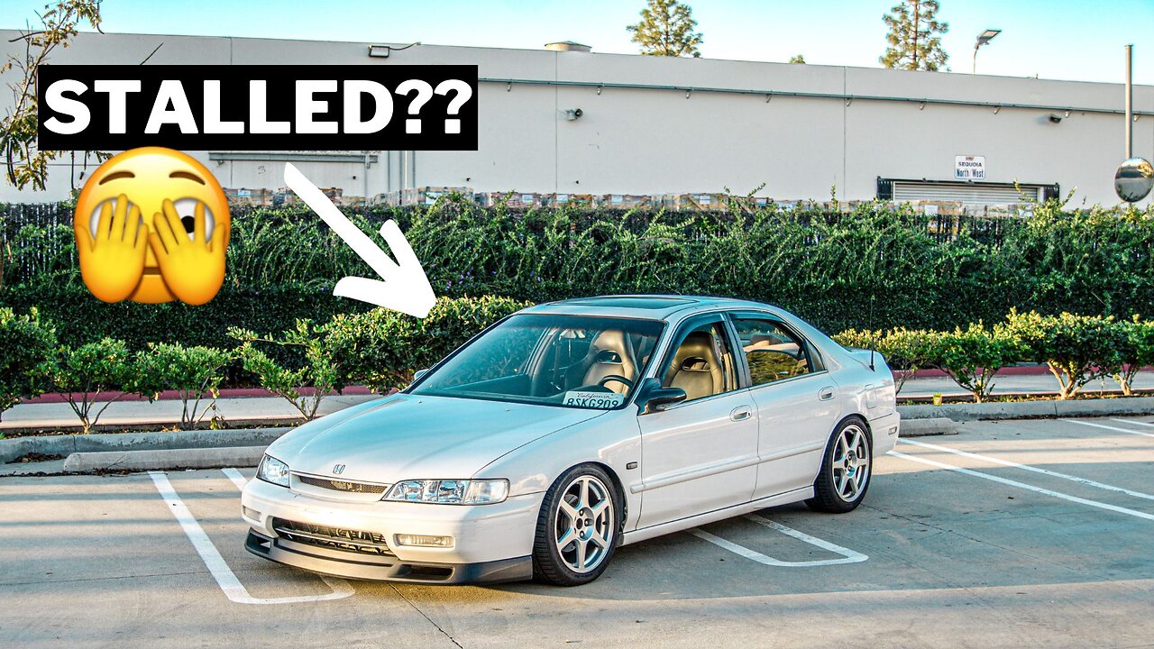 REACTION to this F20B 1995 Honda Accord Sedan!!